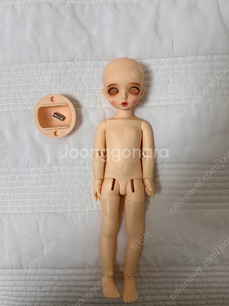 글립 도토리스 지아USD 구체관절인형--0