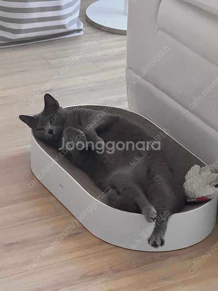 페스티벌 팔찌--0