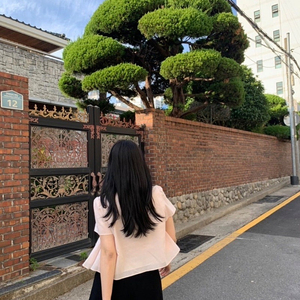 라플리에 릴리블라우스 핑크