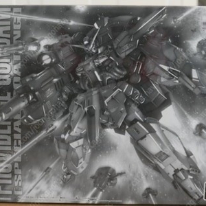 MG 프로비던스 건담 스페셜코팅 스코 새제품 건프라