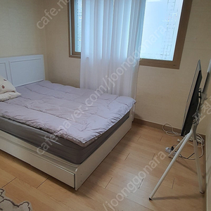 메가드라이브 조던vs버드 삼국지2 허족즈 탑프로골프 바하무트전기 페블비치 골프 작황등용문 a열차팔아요.​사진과 같구요...