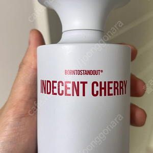 인디센트 체리 100ml 오드퍼퓸