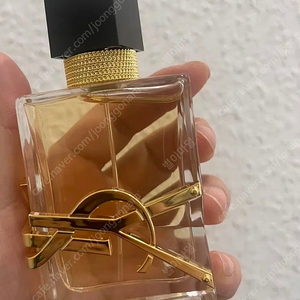 입생로랑 생로랑 리브르 오드 빠르팽50ml(미사용 새상품 국문택 배송비포함)