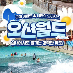 (당일가능)홍천오션월드+구명조끼+실내락커~쏠비치 삼척/양양/변산/단양 델피노 오션플레이~소노벨 천안/거제오션어드벤처