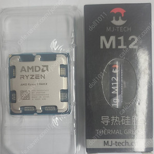 라이젠 9600X CPU