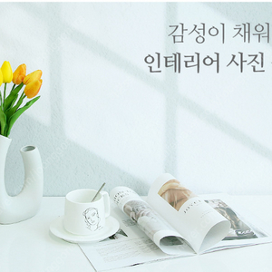 자연광의 고퀄리티 사진/촬영 배경지, 필름지 판매합니다. (106x75cm)