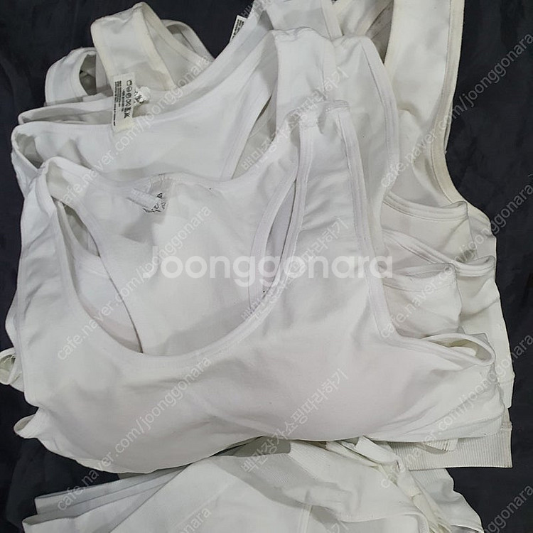스포츠브라팬티100L<10세트>새상품 무료배송--1