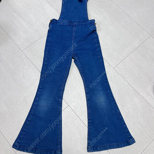 트윈콜렉티브8y