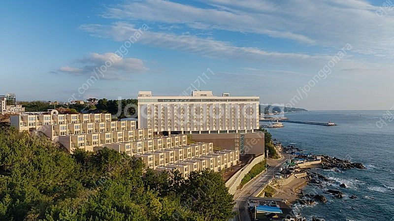 (5월연휴) 5/3,4,5일 파나크 영덕 호텔 오션뷰 ...--0