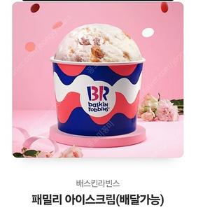베스킨라빈스 패밀리사이즈