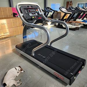 스타트렉 런닝머신1대 판매합니다