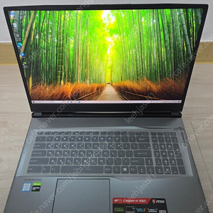 MSI GP75 Leoprad 9SD 게이밍 노트북 판매합니다