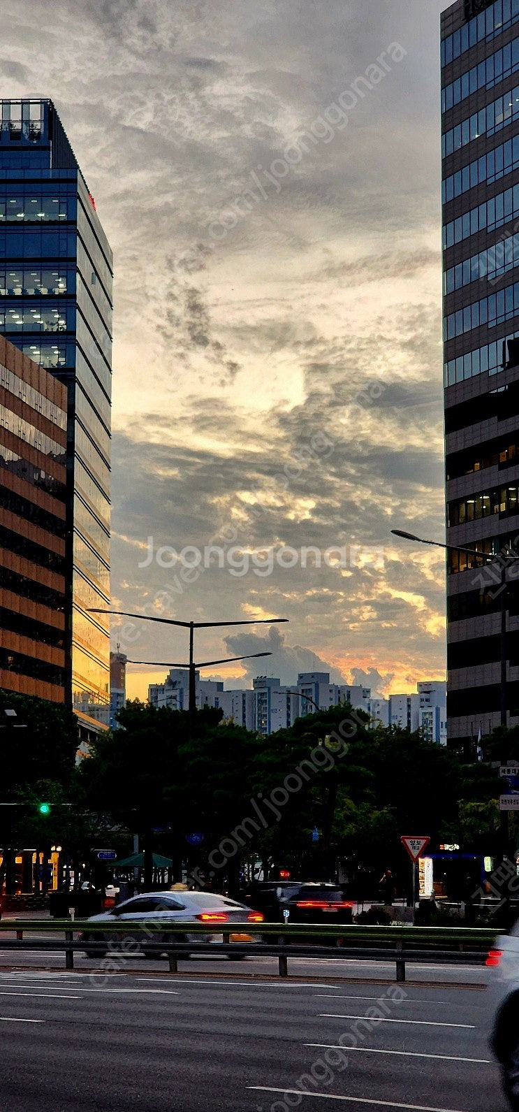 인스타360 x3 오스모 액션 5프로 어드벤쳐 .인스타...--0
