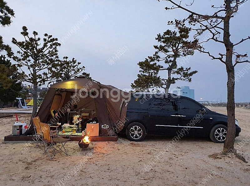 제드오토듀얼팔레스--1