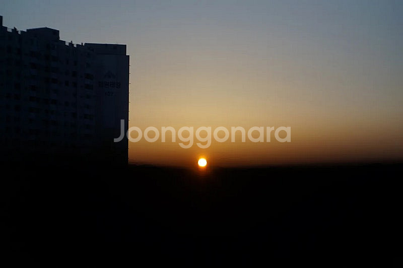 Rodenstock 50mm f 3.5 RF 렌즈 판매--5
