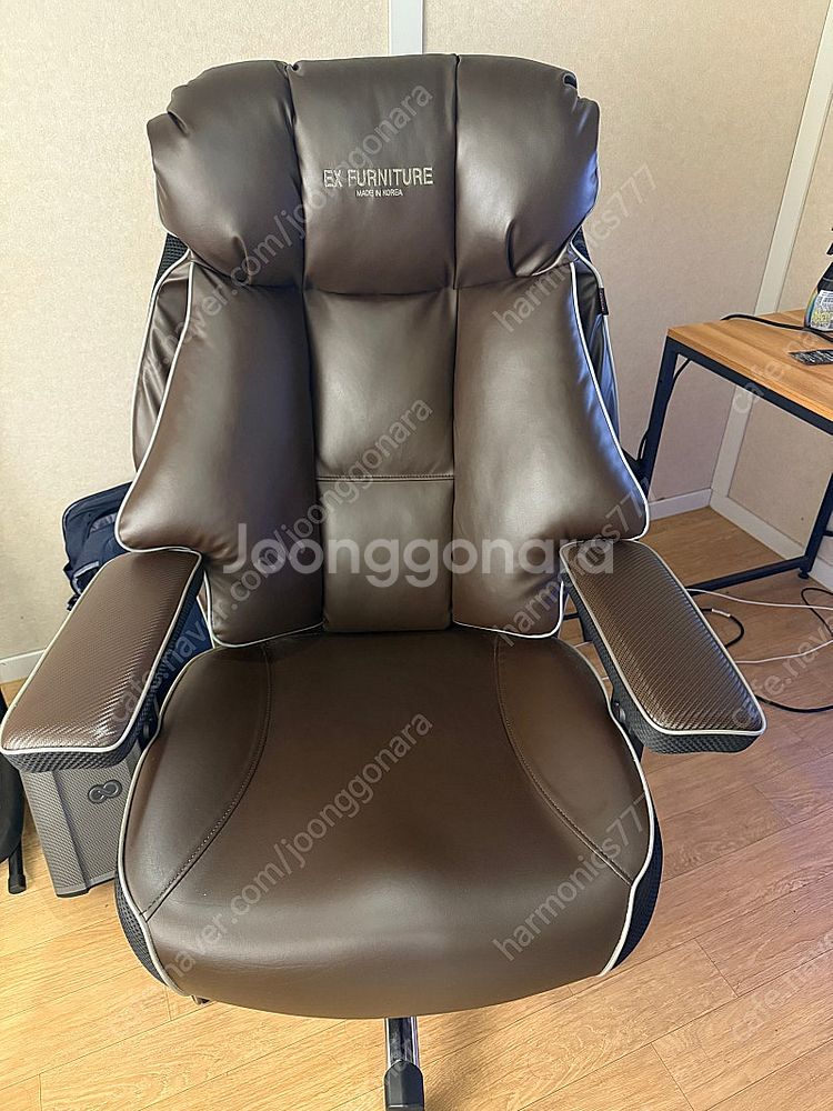 EX 퍼니처 (FURNITURE) EX200 가죽--0