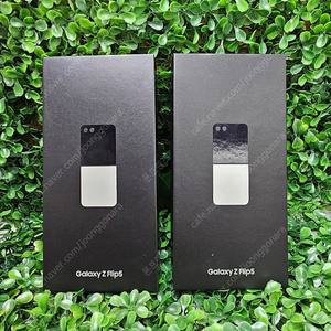 [전국 최저가 판매] 갤럭시 Z플립5 256GB 미개봉 새제품 팝니다.