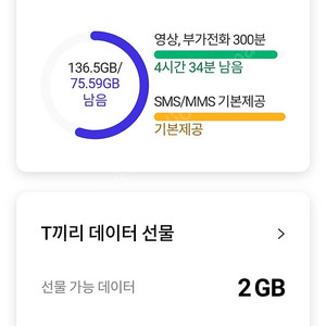Skt 데이터 2기가 3000