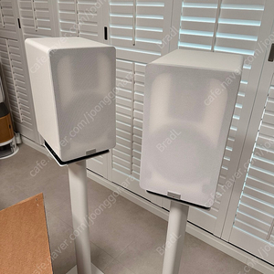 오디오벡터 QR1 (화이트) 팝니다.