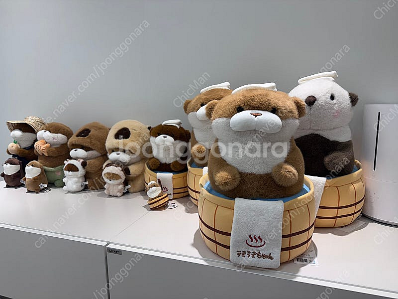 대형 온천 우소우소짱 브라운 40cm 저렴하게 팝니다.--0