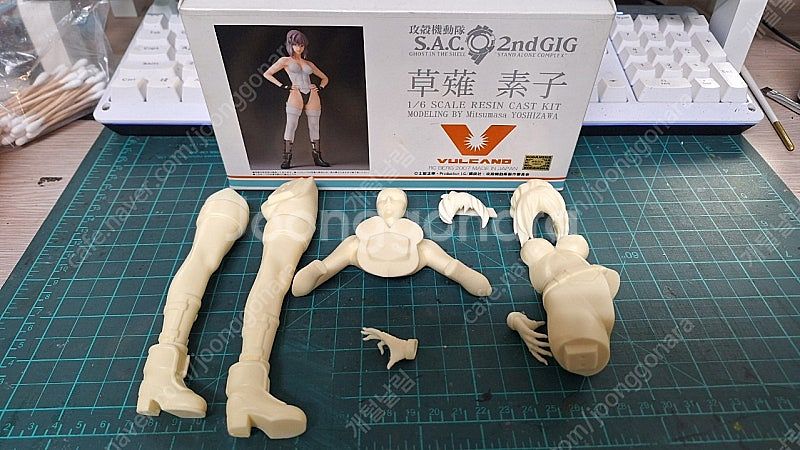 레진 정품키트 판매합니다. 베르세르크 조드 흉상,아미에 그란- 카우보이 비밥 스파이크,레클리스 - 쿠사나기 모토코--9
