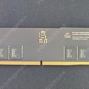 Klevv ddr5 32gb 5600