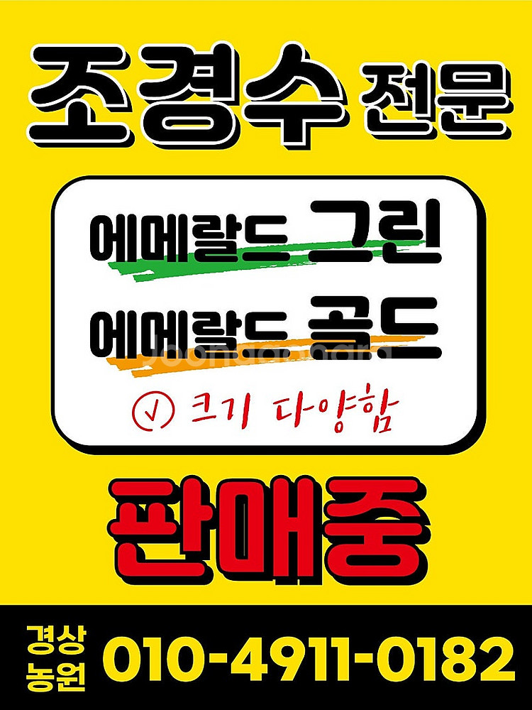 저렴한 가격에 에메랄드그린 & 골드 나무 구입! 실내외...--9