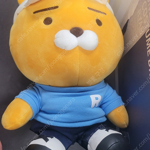 드라이어 커버 라이언