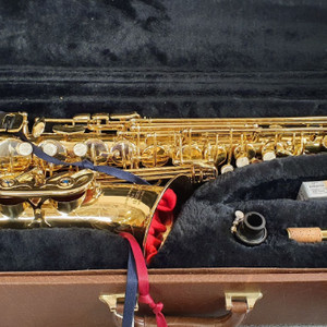 색소폰 LEGEND HSS-952 (2)
