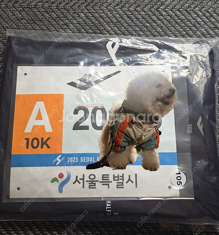 2025 서울 하프 마라토(이하 서하마) 10k--0