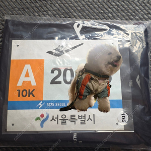 2025 서울 하프 마라토(이하 서하마) 10k