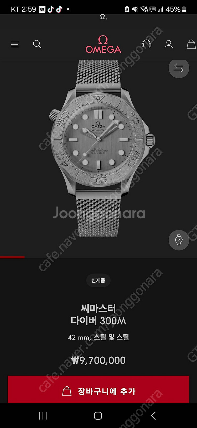 오메가 씨마스터 300 실버--2
