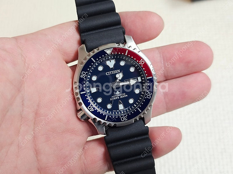 시티즌 복어 팹시 NY0086-16L--1