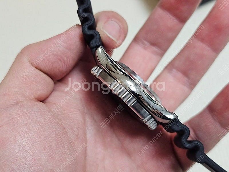 시티즌 복어 팹시 NY0086-16L--2