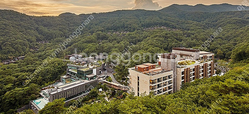 (5월연휴) 5/3,4,5일 리솜제천 / 롯데김해 가실...--0