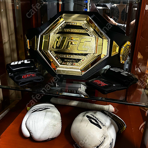 UFC 챔피언십 레플리카 벨트