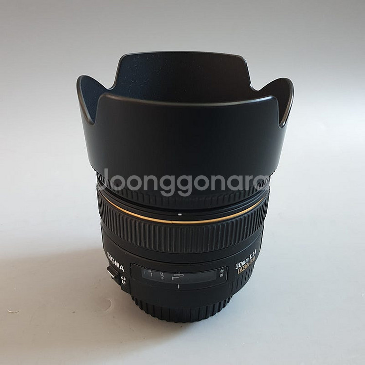 캐논 시그마 30mm F1.4 EX DC HSM 렌즈--0
