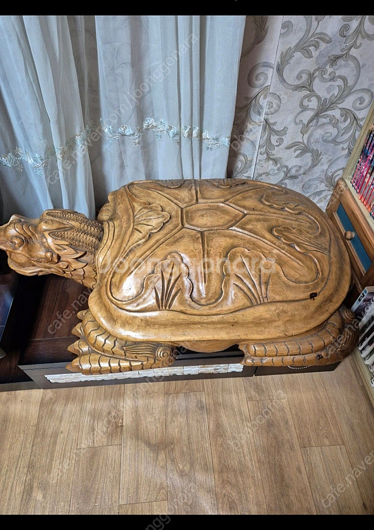 바다거북 바둑판--0