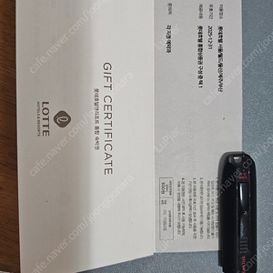 롯데호텔 통합숙박권