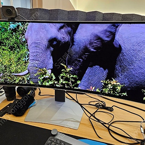 삼성전자 오디세이 49인치 OLED G9 G93SC S49CG934 울트라와이드