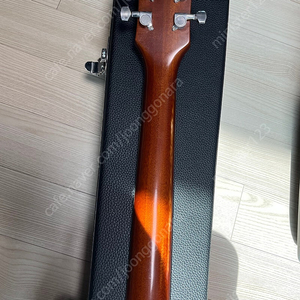 칩슨 그리니 레스폴