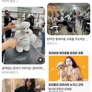 이바우펫양도권