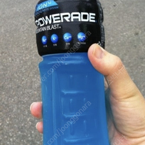펩시 콜라 1.25L 파워에이드 마운틴블스트, 600ml, 20개입