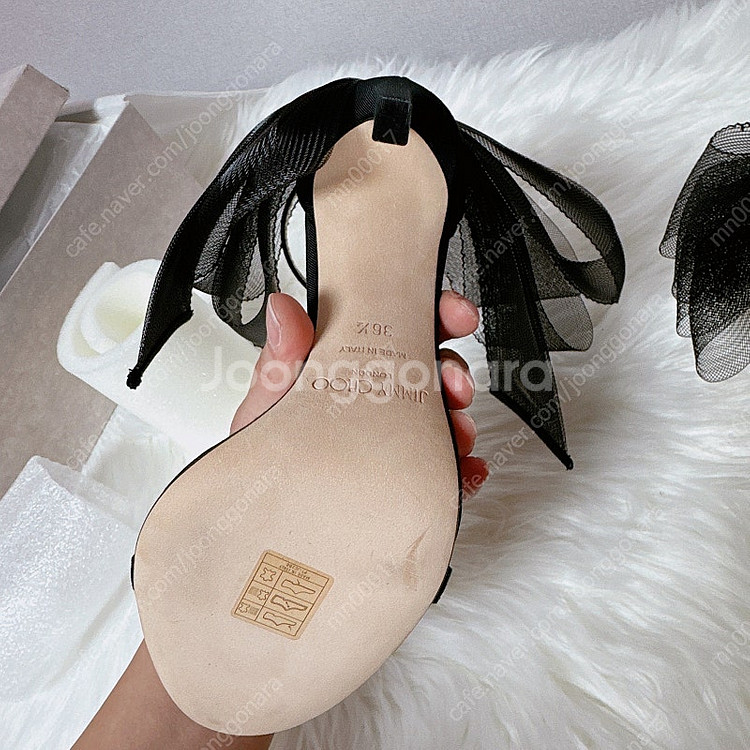 지미추 에이블린--3