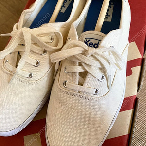 케즈 KEDS 챔피온 캔버스 230