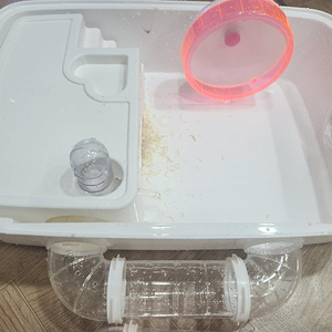 햄스터 두마리와 사육장 세트