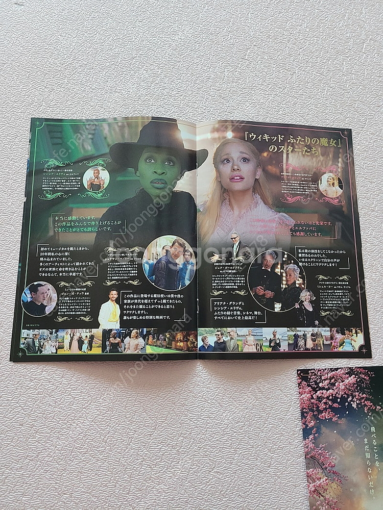 3개일괄)위키드 영화전단지 팜플렛전단지 일본전단지 위키...--4