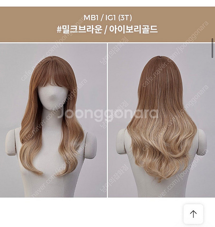 핑크에이지 옴브레 젤리펌 아이리스(밀크브라운/아이보래골...--1