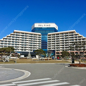 ( 어린이날 ) 파나크영덕/델피노/쏠비치양양.삼척/비발디파크/소노펠리체