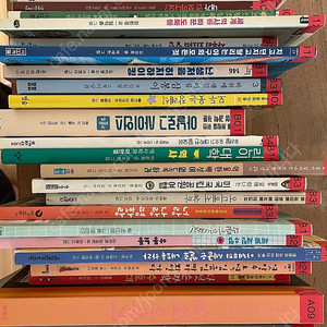 책나무 꿈나무 6학년 필독서 31권